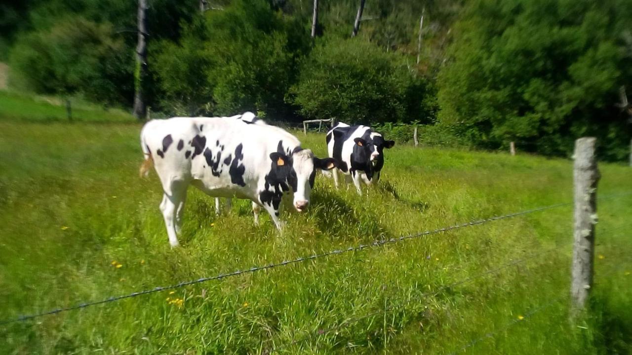 Hotel Rural Montesomao Somado Eksteriør billede